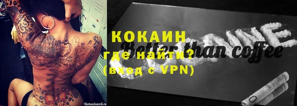хмурый Аркадак