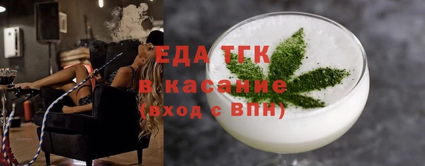 хмурый Аркадак