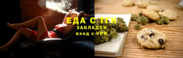 хмурый Аркадак