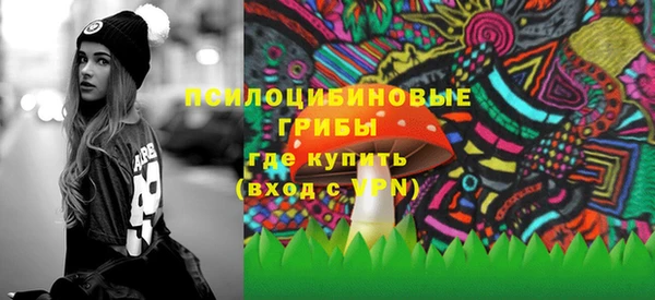 Альфа ПВП Галич