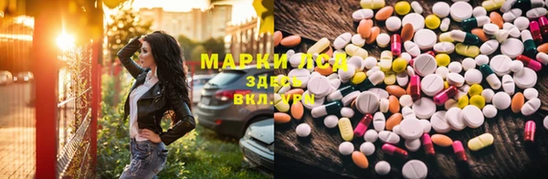хмурый Аркадак