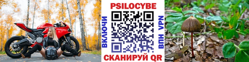 mega сайт  Калязин  Псилоцибиновые грибы мухоморы 